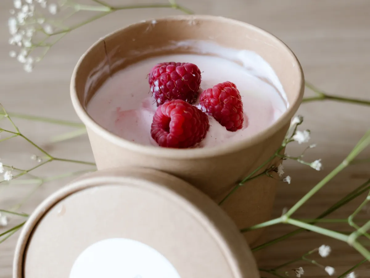 Bakje homemade yoghurtijs met verse frambozen in verpakking van The Little Oven